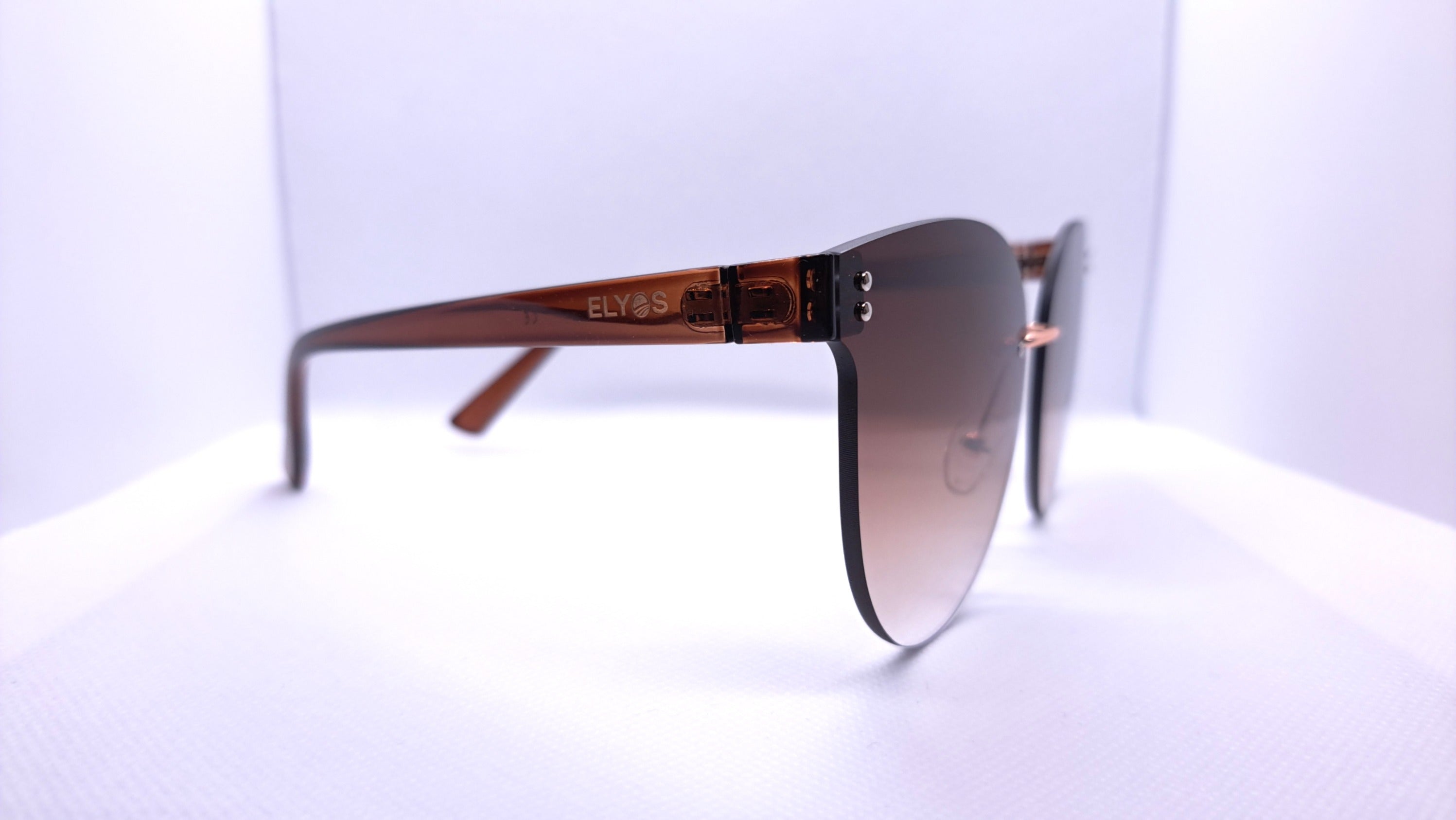 BUTERFLY MARRON HORIZON